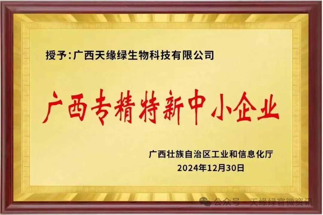 廣西專精特新中小企業(yè)-1.jpeg